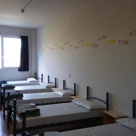 Alma Del Camino - & *