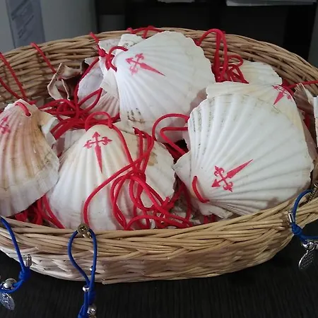 Hostel Alma Del Camino - &